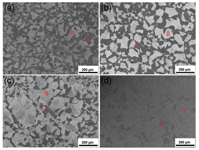 Kinetics and microstructural modeling of isothermal austenite-to