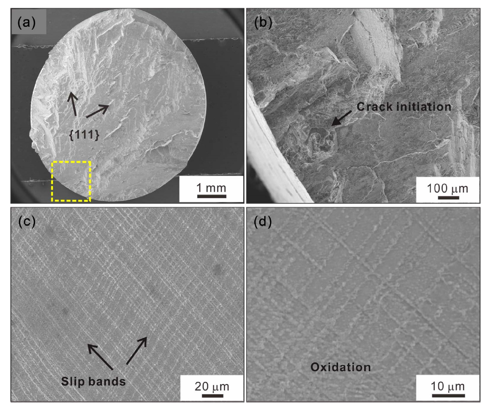 Influences of Re on lowcycle fatigue behaviors of single crystal