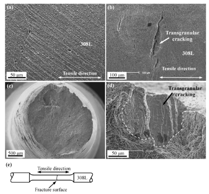 Microstructure and stress corrosion cracking of a SA508-309L/308L-316L ...