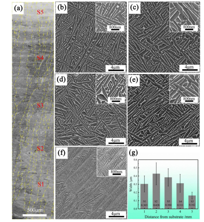 Hierarchical microstructure of a titanium alloy fabricated by electron ...