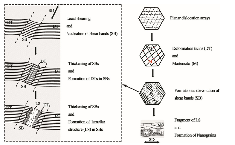 On the microstructural evolution pattern toward nano-scale of an AISI ...