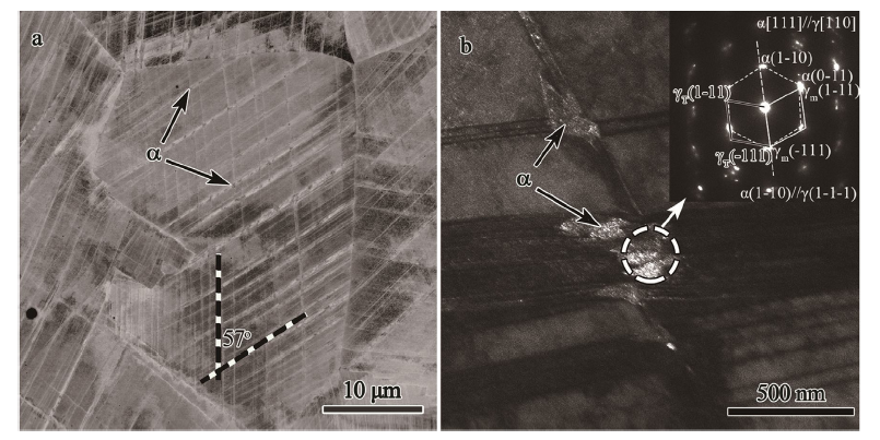 On the microstructural evolution pattern toward nano-scale of an AISI ...
