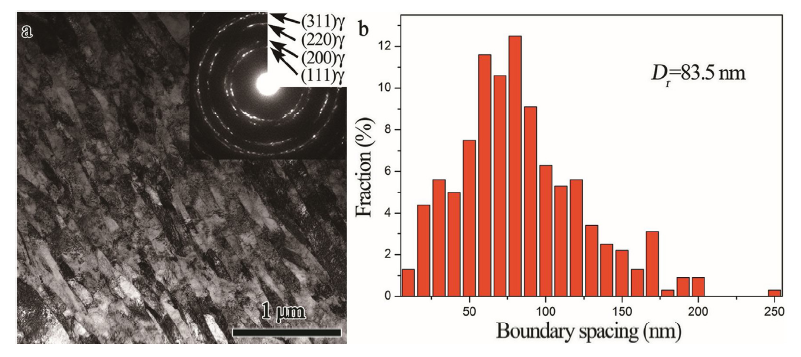 On the microstructural evolution pattern toward nano-scale of an AISI ...