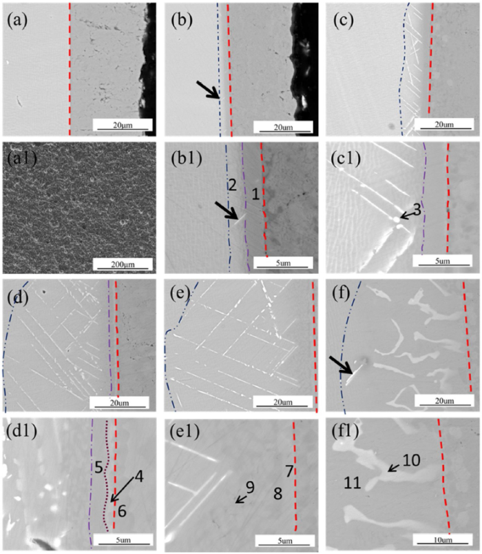 Microstructure and composition evolution of a singlecrystal superalloy