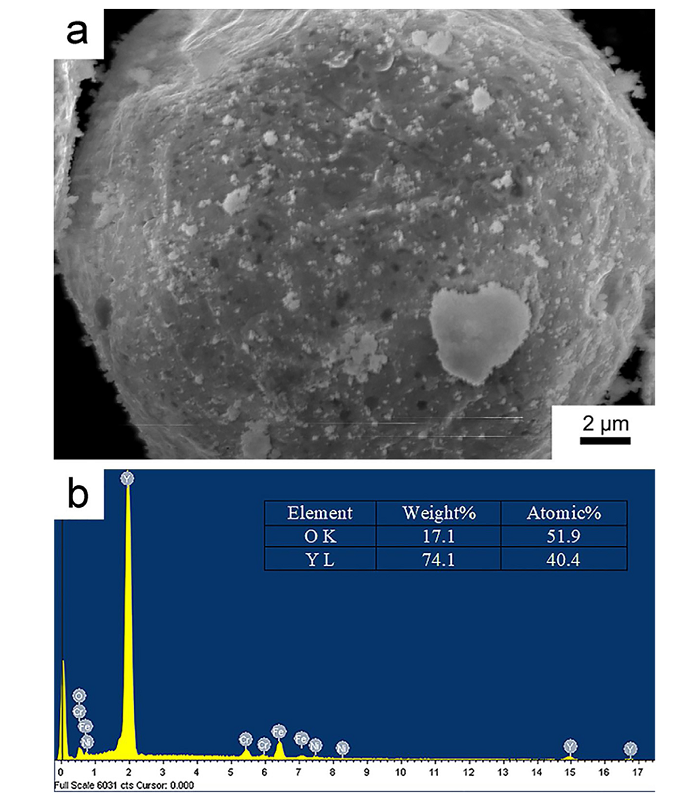 Characterization of nanoparticle mixed 316 L powder for additive ...