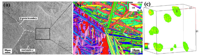 Microstructural evolution and FCC twinning behavior during hot ...