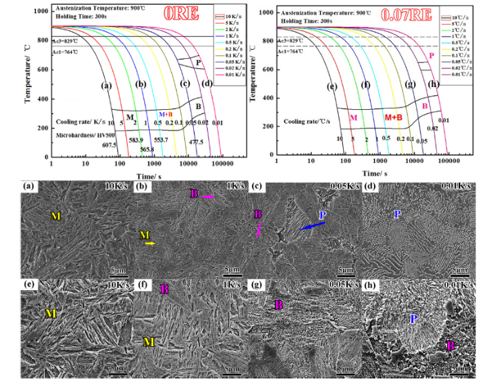Effects of Rare Earth elements on microstructure evolution and ...