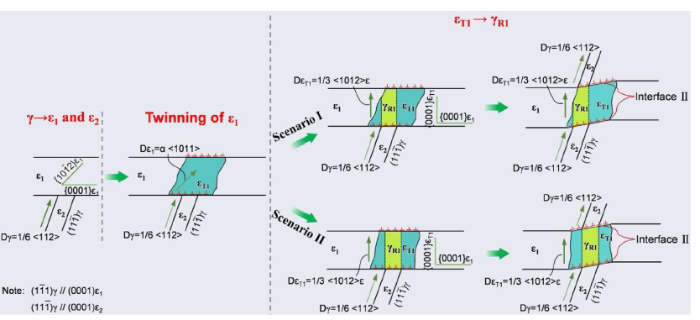 Weak Convergence and Empirical Processes: With Applications