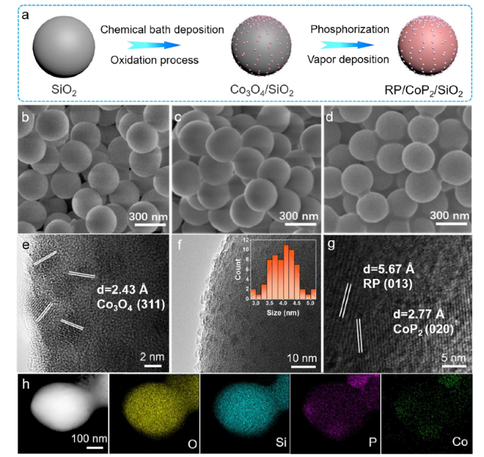 Ternary red phosphorus/CoP2/SiO2 microsphere boosts visible-light ...